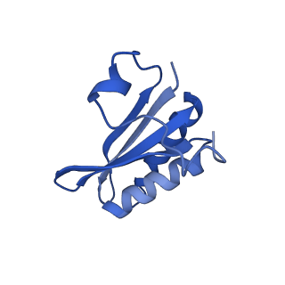 20208_6owf_DH_v1-3
Structure of a synthetic beta-carboxysome shell, T=3