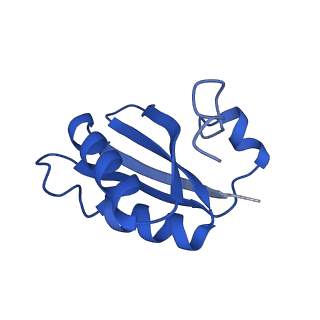 20208_6owf_DI_v1-2
Structure of a synthetic beta-carboxysome shell, T=3