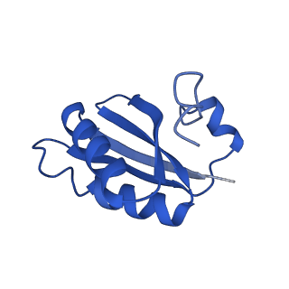 20208_6owf_DI_v1-3
Structure of a synthetic beta-carboxysome shell, T=3