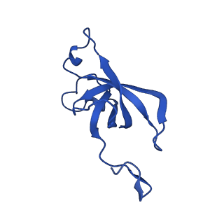 20208_6owf_DJ_v1-2
Structure of a synthetic beta-carboxysome shell, T=3