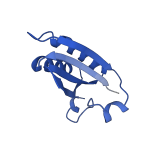 20208_6owf_D_v1-2
Structure of a synthetic beta-carboxysome shell, T=3