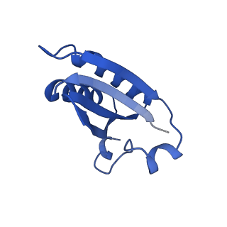 20208_6owf_D_v1-3
Structure of a synthetic beta-carboxysome shell, T=3