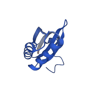20208_6owf_E_v1-2
Structure of a synthetic beta-carboxysome shell, T=3