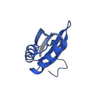 20208_6owf_E_v1-3
Structure of a synthetic beta-carboxysome shell, T=3