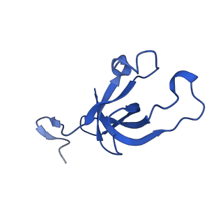 20208_6owf_F_v1-2
Structure of a synthetic beta-carboxysome shell, T=3