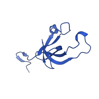 20208_6owf_F_v1-3
Structure of a synthetic beta-carboxysome shell, T=3