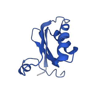 20208_6owf_G_v1-2
Structure of a synthetic beta-carboxysome shell, T=3