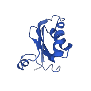 20208_6owf_G_v1-3
Structure of a synthetic beta-carboxysome shell, T=3