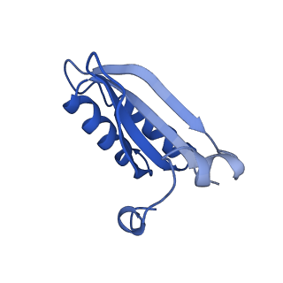 20208_6owf_H_v1-2
Structure of a synthetic beta-carboxysome shell, T=3