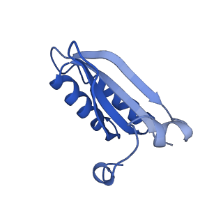 20208_6owf_H_v1-3
Structure of a synthetic beta-carboxysome shell, T=3