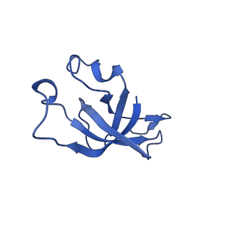 20208_6owf_I_v1-2
Structure of a synthetic beta-carboxysome shell, T=3