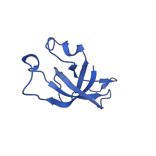 20208_6owf_I_v1-3
Structure of a synthetic beta-carboxysome shell, T=3