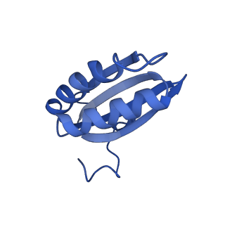 20208_6owf_J_v1-2
Structure of a synthetic beta-carboxysome shell, T=3