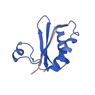 20208_6owf_K_v1-2
Structure of a synthetic beta-carboxysome shell, T=3