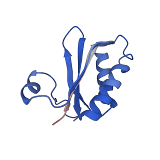 20208_6owf_K_v1-3
Structure of a synthetic beta-carboxysome shell, T=3