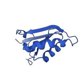 20208_6owf_M_v1-2
Structure of a synthetic beta-carboxysome shell, T=3