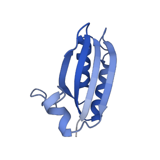 20208_6owf_N_v1-2
Structure of a synthetic beta-carboxysome shell, T=3