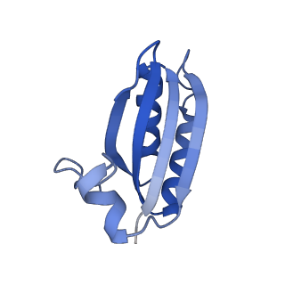 20208_6owf_N_v1-3
Structure of a synthetic beta-carboxysome shell, T=3