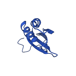 20208_6owf_P_v1-3
Structure of a synthetic beta-carboxysome shell, T=3