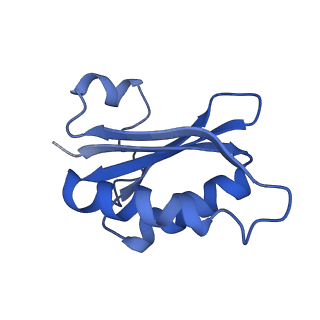 20208_6owf_Q_v1-2
Structure of a synthetic beta-carboxysome shell, T=3