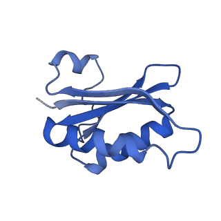 20208_6owf_Q_v1-3
Structure of a synthetic beta-carboxysome shell, T=3