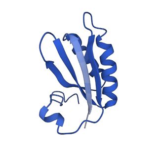 20208_6owf_S_v1-2
Structure of a synthetic beta-carboxysome shell, T=3