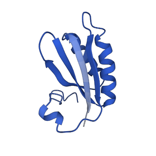 20208_6owf_S_v1-3
Structure of a synthetic beta-carboxysome shell, T=3