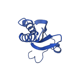 20208_6owf_T_v1-2
Structure of a synthetic beta-carboxysome shell, T=3