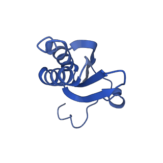 20208_6owf_T_v1-3
Structure of a synthetic beta-carboxysome shell, T=3