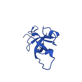 20208_6owf_U_v1-2
Structure of a synthetic beta-carboxysome shell, T=3