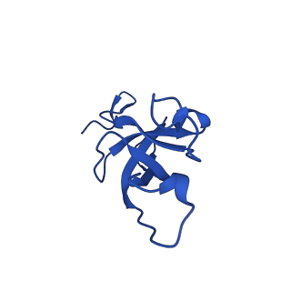 20208_6owf_U_v1-3
Structure of a synthetic beta-carboxysome shell, T=3