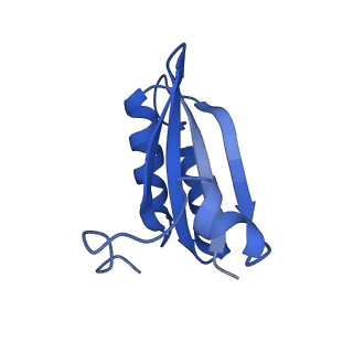 20208_6owf_V_v1-3
Structure of a synthetic beta-carboxysome shell, T=3