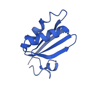 20208_6owf_W_v1-2
Structure of a synthetic beta-carboxysome shell, T=3