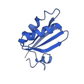 20208_6owf_W_v1-3
Structure of a synthetic beta-carboxysome shell, T=3