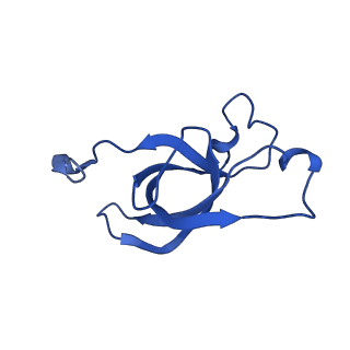 20208_6owf_X_v1-2
Structure of a synthetic beta-carboxysome shell, T=3