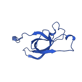 20208_6owf_X_v1-3
Structure of a synthetic beta-carboxysome shell, T=3