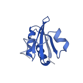 20208_6owf_Z_v1-2
Structure of a synthetic beta-carboxysome shell, T=3