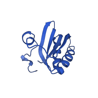 20208_6owf_a_v1-2
Structure of a synthetic beta-carboxysome shell, T=3
