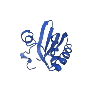 20208_6owf_a_v1-3
Structure of a synthetic beta-carboxysome shell, T=3