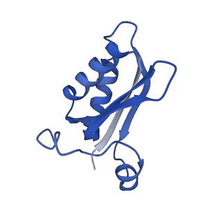 20208_6owf_b_v1-2
Structure of a synthetic beta-carboxysome shell, T=3