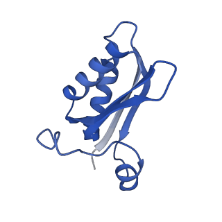 20208_6owf_b_v1-3
Structure of a synthetic beta-carboxysome shell, T=3