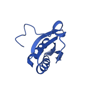 20208_6owf_d_v1-2
Structure of a synthetic beta-carboxysome shell, T=3
