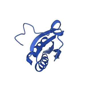 20208_6owf_d_v1-3
Structure of a synthetic beta-carboxysome shell, T=3