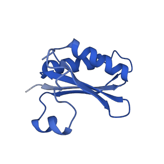 20208_6owf_e_v1-3
Structure of a synthetic beta-carboxysome shell, T=3