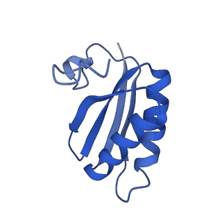 20208_6owf_g_v1-2
Structure of a synthetic beta-carboxysome shell, T=3