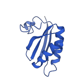 20208_6owf_g_v1-3
Structure of a synthetic beta-carboxysome shell, T=3