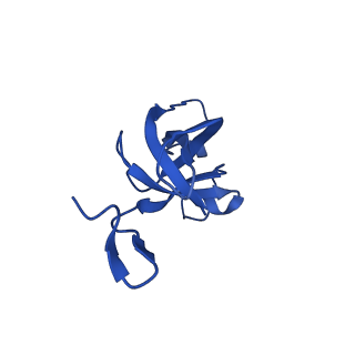 20208_6owf_i_v1-2
Structure of a synthetic beta-carboxysome shell, T=3