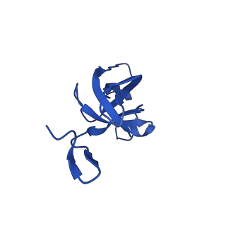 20208_6owf_i_v1-3
Structure of a synthetic beta-carboxysome shell, T=3