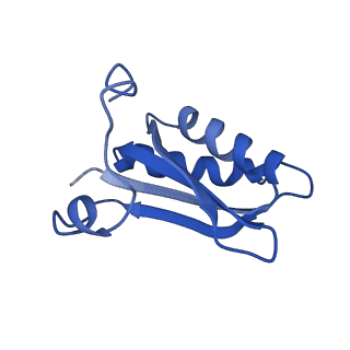20208_6owf_j_v1-2
Structure of a synthetic beta-carboxysome shell, T=3