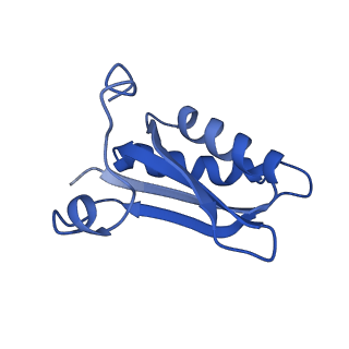 20208_6owf_j_v1-3
Structure of a synthetic beta-carboxysome shell, T=3
